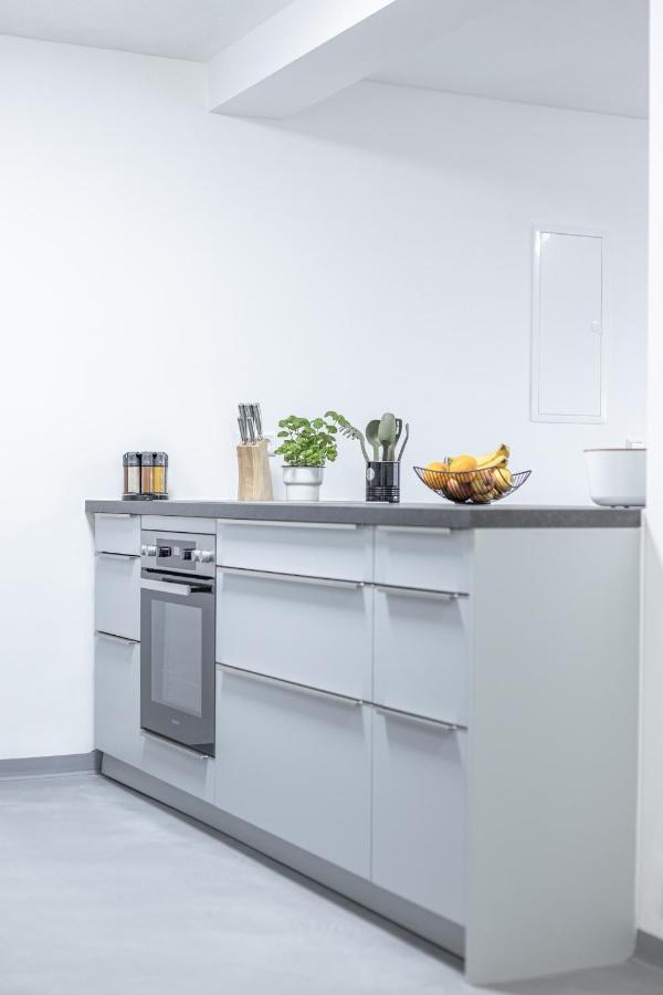 Exklusive Neubau-Ferienwohnung Mit Fernsicht Konstanz Buitenkant foto